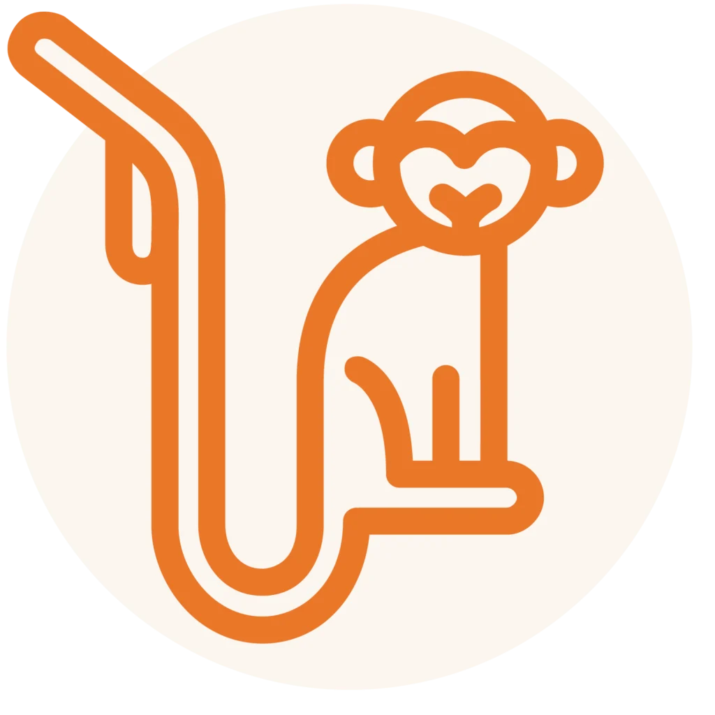 Fuel Monkey